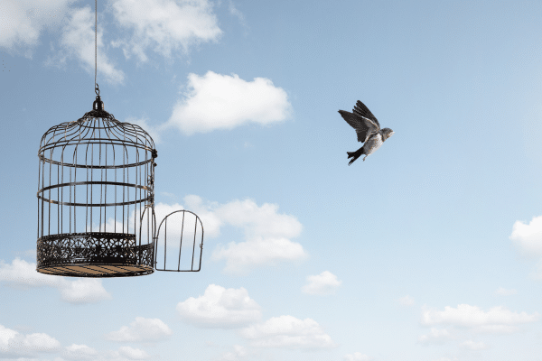 Hypnose PNL Orne Flers Briouze Arreter de fumer Arret Tabac Hypnose PNL Orne Flers Briouze Arreter de fumer Arret Tabac